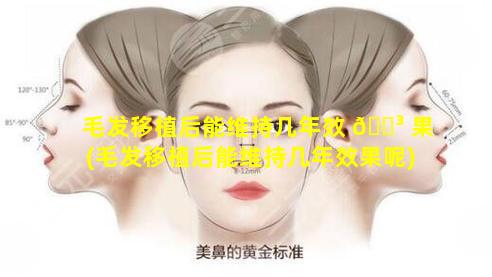 毛发移植后能维持几年效 🌳 果(毛发移植后能维持几年效果呢)